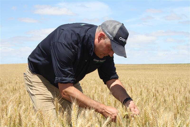 November Agronomy Update