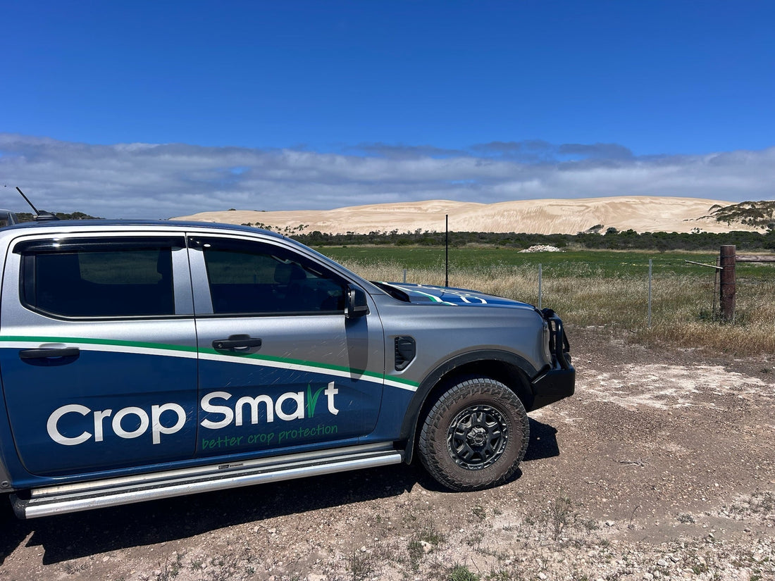 The Critical Importance of Good Overall Nutrition When Phosphorus Is Expensive