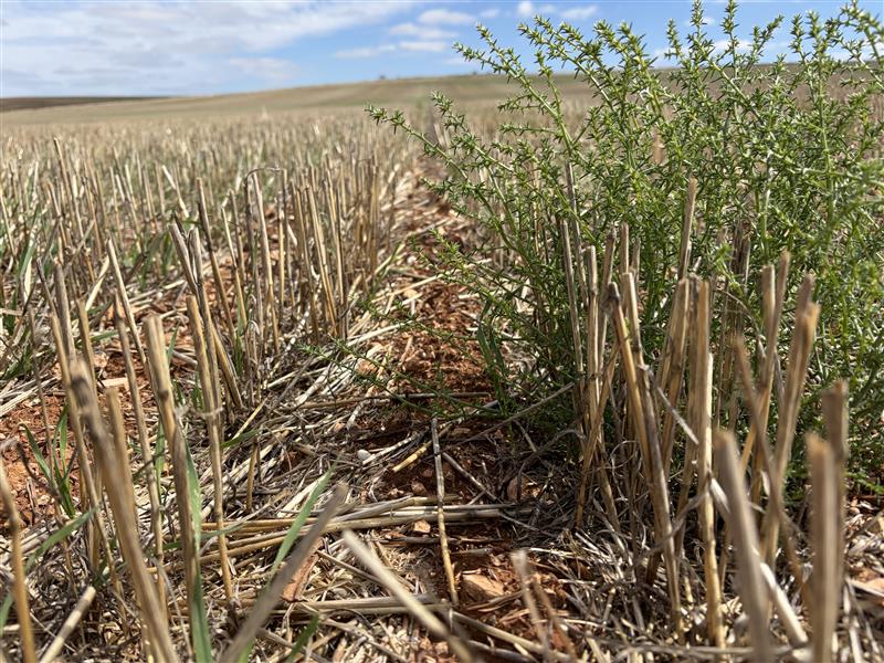 March Agronomy Update