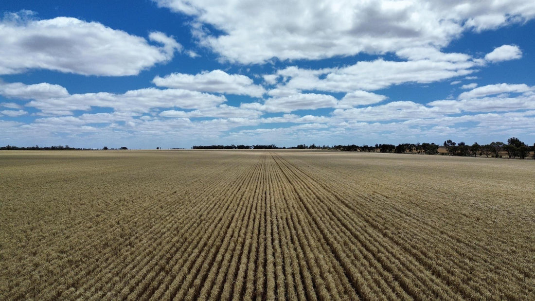 February Agronomy Update