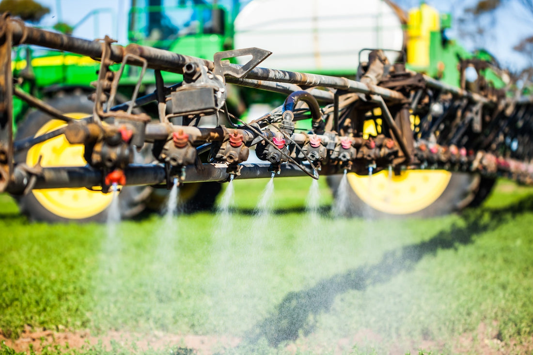 Spray Timing in Crops with Staggered Emergence: Strike a Balance