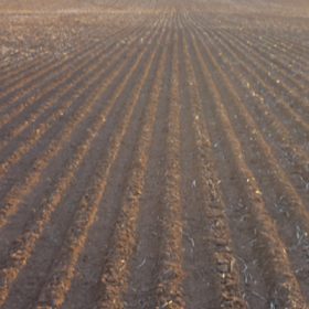 Pre-emergent herbicide degradation with dry sowing - Crop Smart