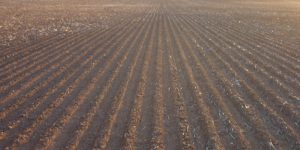 Pre-emergent herbicide degradation with dry sowing - Crop Smart