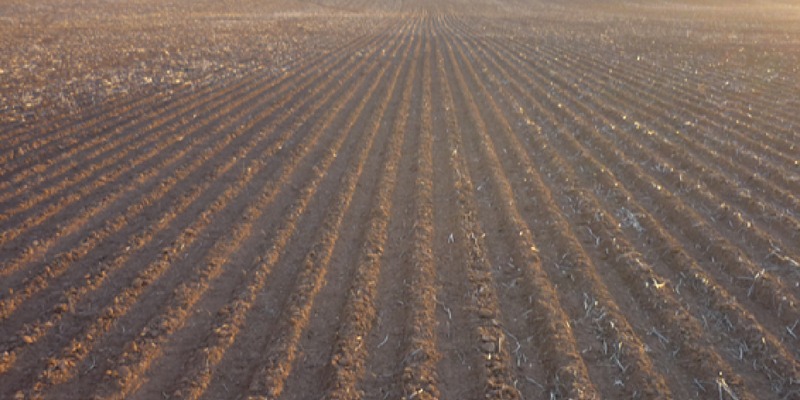 Pre-emergent herbicide degradation with dry sowing - Crop Smart