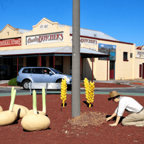 Crop Smart Community Matters Minyip Progress Association