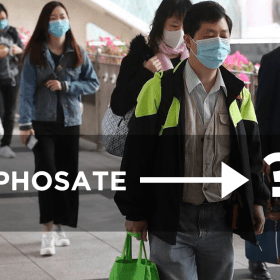 glyphosate and coronavirus